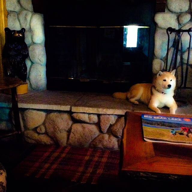 kaiyun官方入口登录-西甲精彩逆转，专家点评亮点，vll西甲