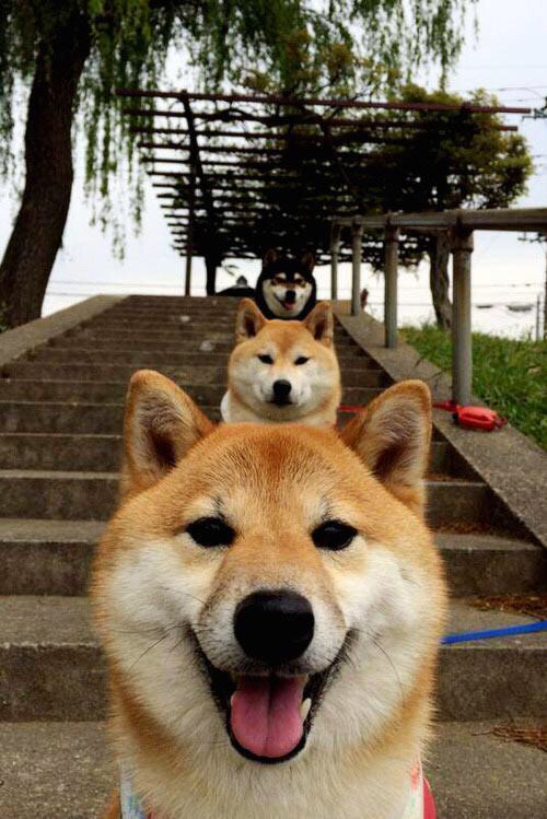 阿贾克斯在赛季末崩盘,主帅法里奥利赛季结束后辞职。,阿贾克斯vs里尔历史战绩