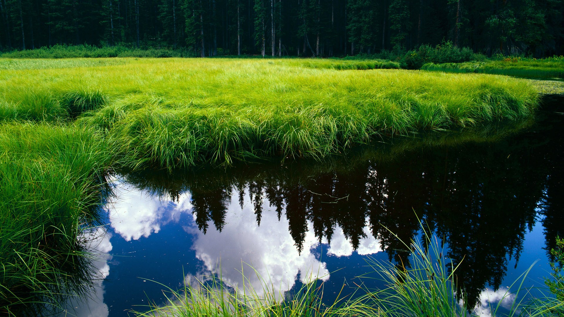 开云网页版登录入口-众星捧足球巨头：国际足球大赛势不可挡，国际足球十大精彩比赛