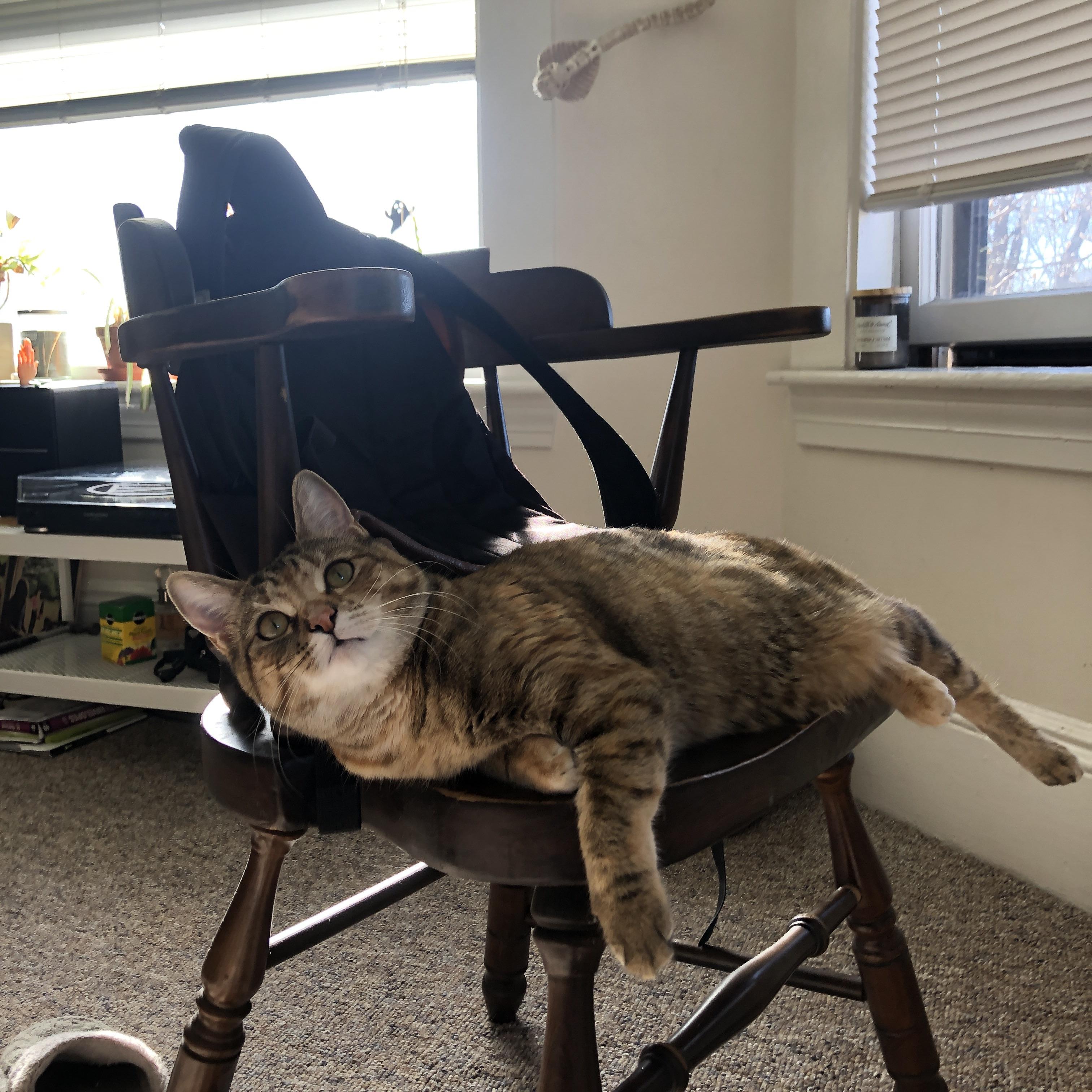 kaiyun体育app-喷火队射手手感火热，连续命中三分球，喷射火焰技能