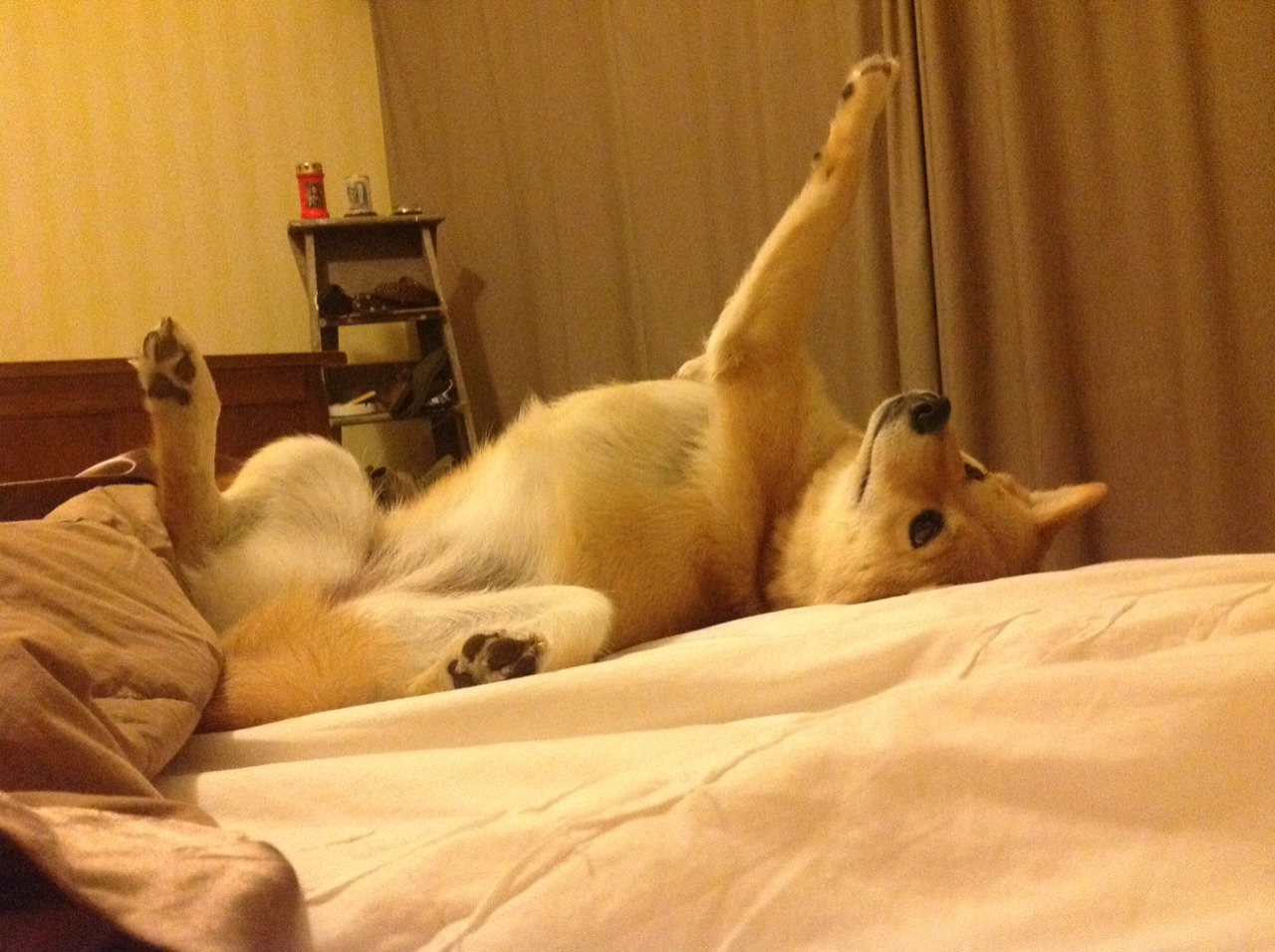 kaiyun体育app-队员宣布休赛，球队战绩遭遇重挫，休赛期球员都在干嘛