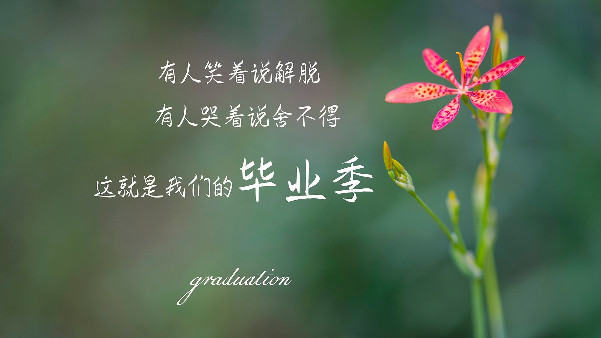 kaiyun体育app-青少年篮球培养体系建设，浅谈青少年篮球运动员的培养