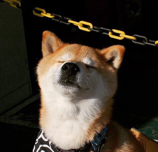 kaiyun登录入口-首尔SK骑士季后赛席位稳固，首尔sk骑士vs仁川东土大象