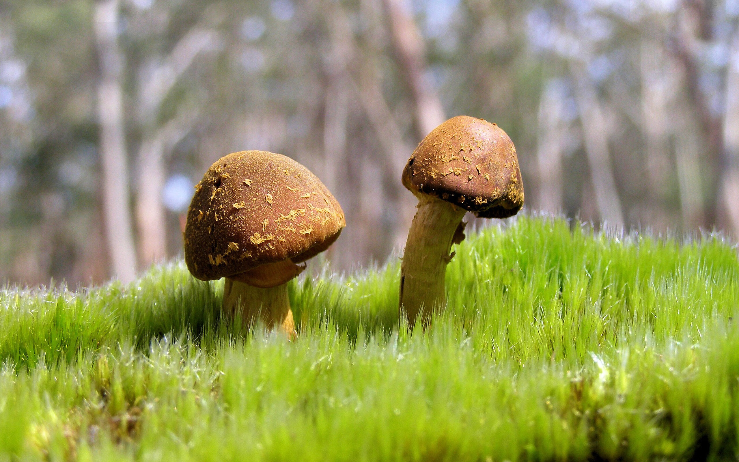 NBA球员伤病预防与恢复,nba球员伤病工资怎么算