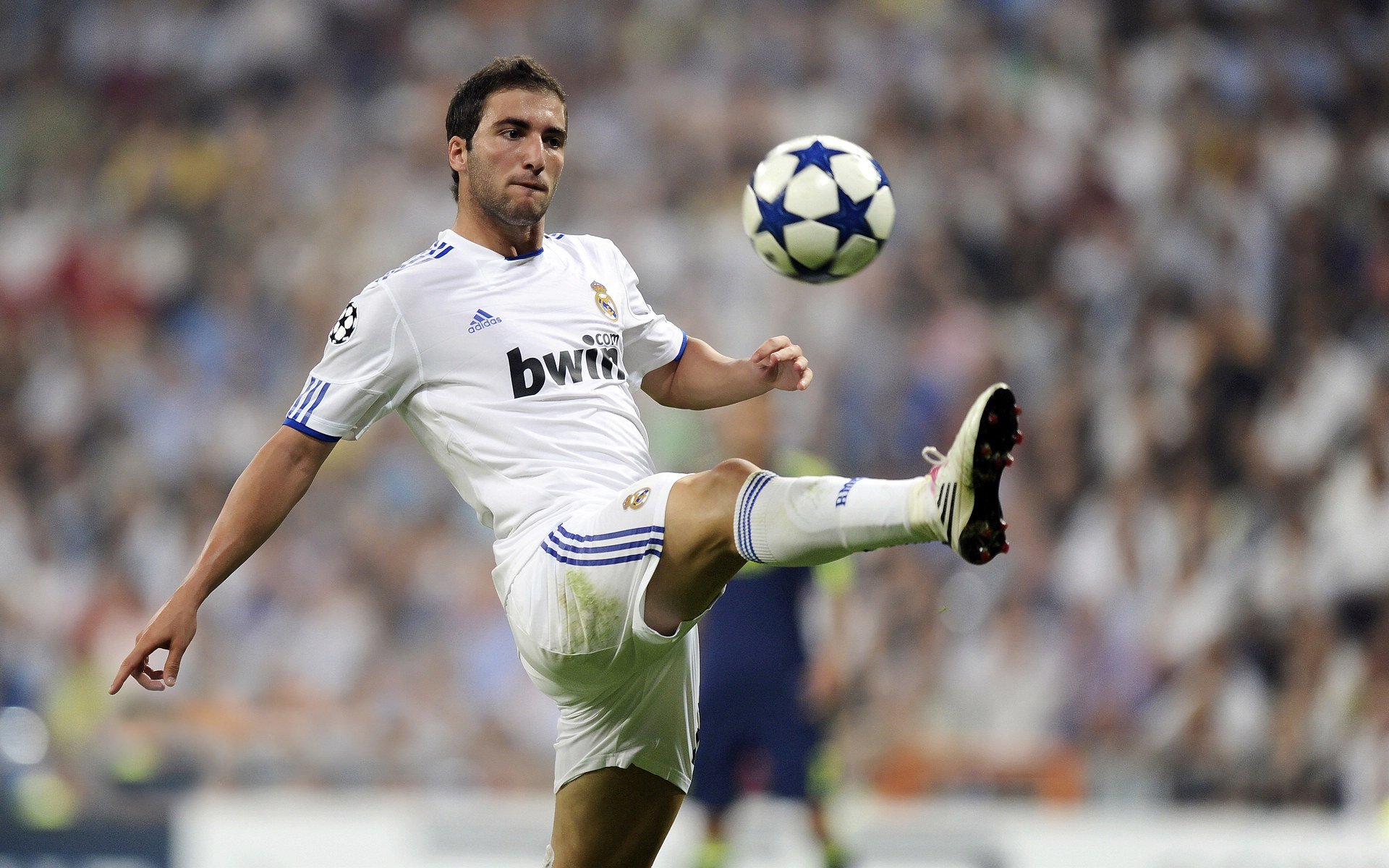 德甲球员心率变异性监测指导个体化训练调整,心率变异性分析软件中文版