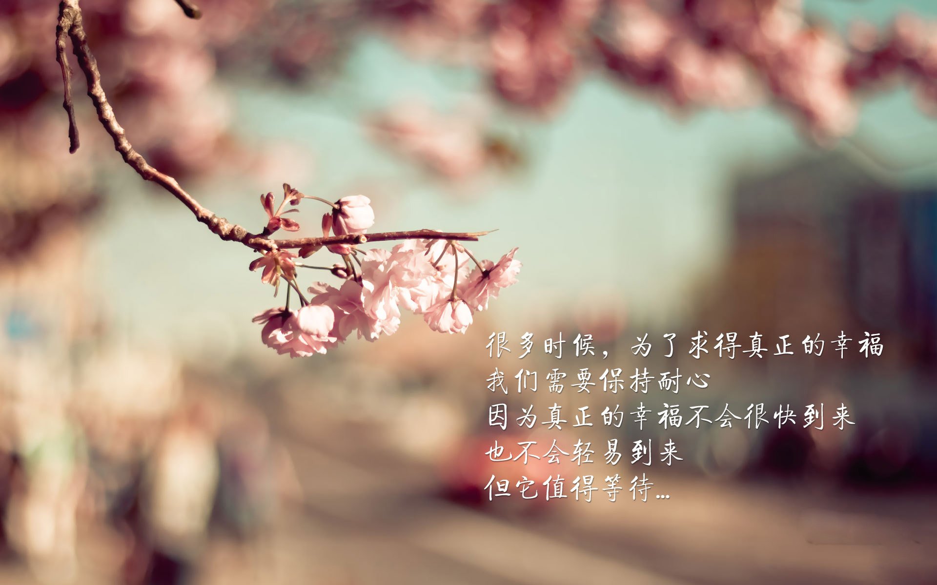 波兰水球战术灵活应变,波兰球原创