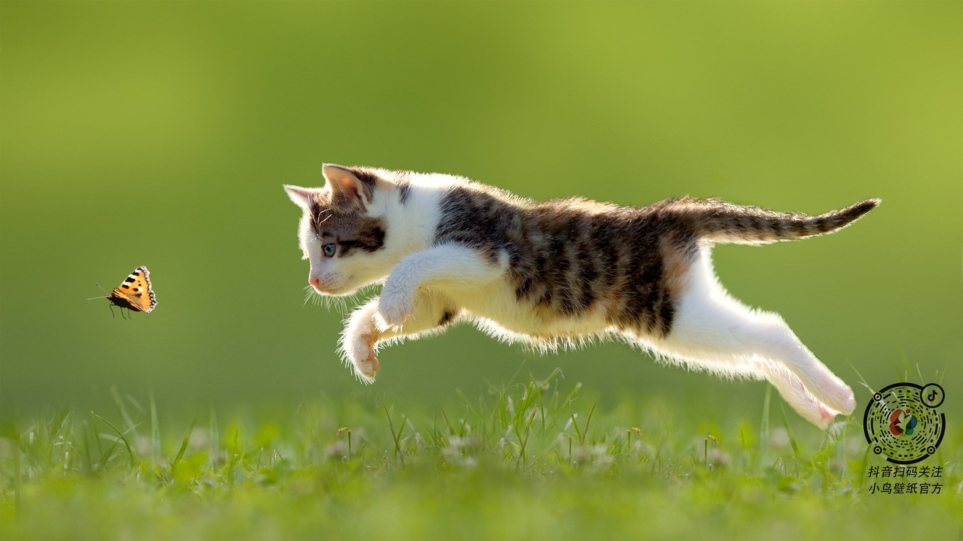 kaiyun.com-男篮国家队提升禁区协防能力加强防守稳固性，国际男篮防守有3秒规定么